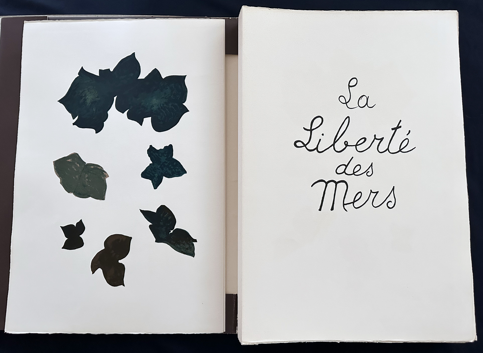 La liberte des Mers. With 7 lithographs in color.
